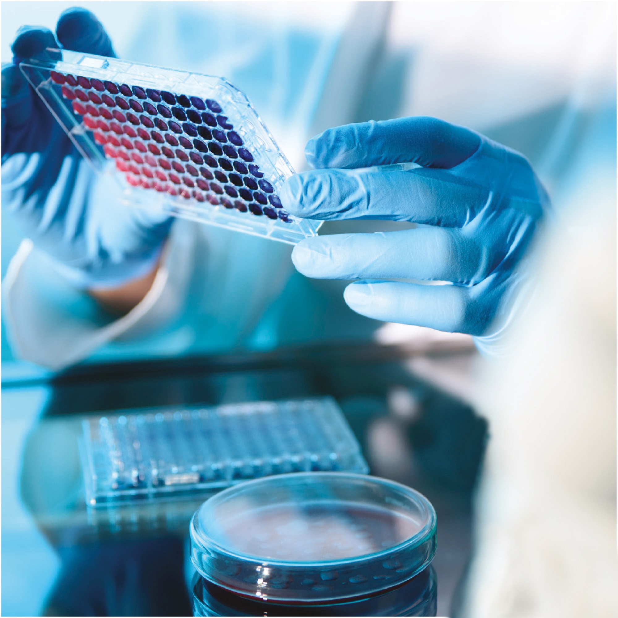 The Early Detection of Cancer Conference